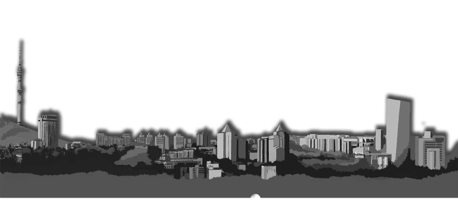 Zhakonda - разработка сайтов слой 2