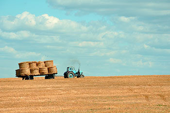 Zhakonda - разработка сайтов стрелка вниз Prodams